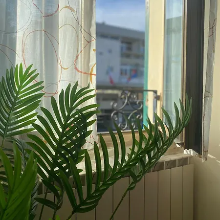 Casa Elena - Centro 公寓 *