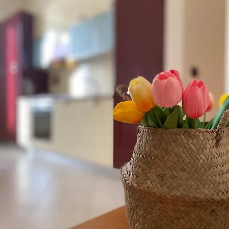 Casa Elena - Centro Apartamento