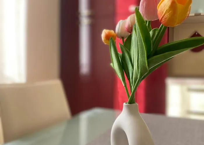 Casa Elena - Centro * ディアーノ・マリーナ