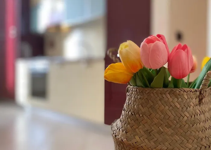 Casa Elena - Centro アパート