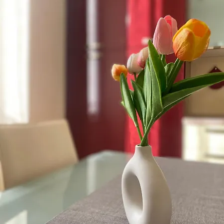 Casa Elena - Centro * Diano Marina