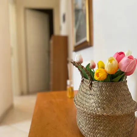 Daire Casa Elena - Centro Diano Marina