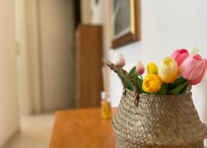 Apartment Casa Elena - Centro Diano Marina